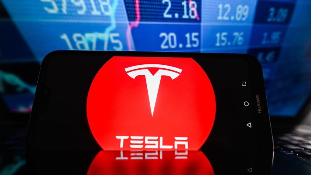 As Tesla stock plummets, are big tech stocks still worth investing in